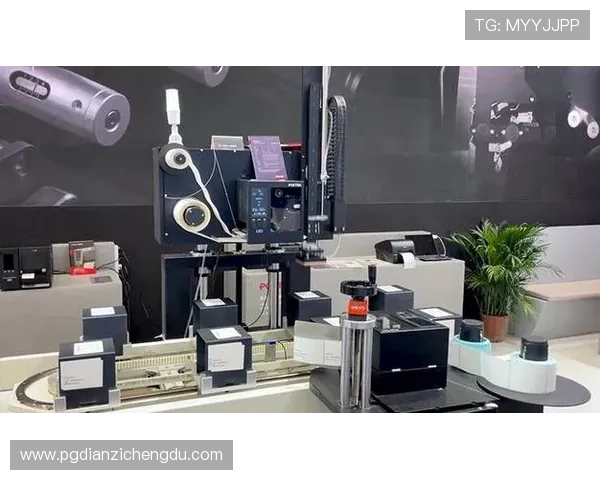 PG国际APP登录入口的未来发展趋势分析，助力平台在激烈的市场竞争中稳步前行