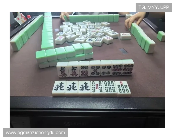pg电子官网麻将糊了的概率分析及预防措施让你成为牌场中的赢家 pg电子官网麻将糊了的概率分析及预防措施让你成为牌场中的赢家