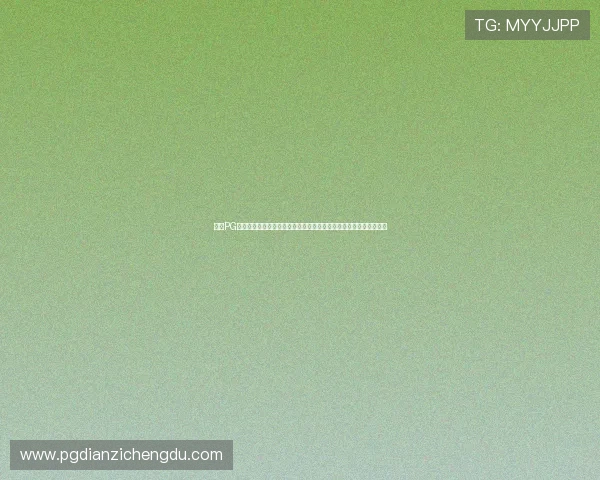 电子PG下载大全免费资源合集,提供丰富多样的优质游戏资源免费下载途径